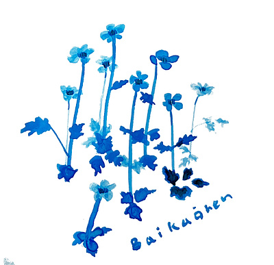 baikaoren_japanese flower design graphic design illustration textile wallpaper