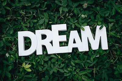DREAM Text Logo With Grass Logo mockup effect branding design graphic design illustration logo logodesign logomockup vector