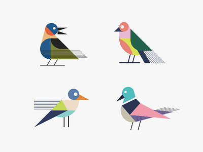 Colorful birds 2 bird colorful fun illustration kids modern pigeon simple