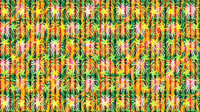 You're a firework design firework holiday illustration packaging pattern design repeat pattern surface pattern design tropical