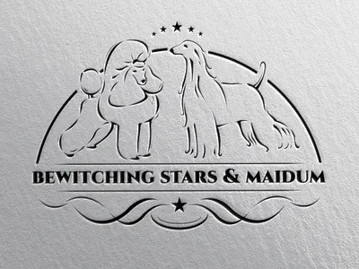 Bewitching Stars & Maidum adobe illustrator afghanistan hound art branding design dog drawing graphicdesign illustration kennel logo poodle ui ux vector