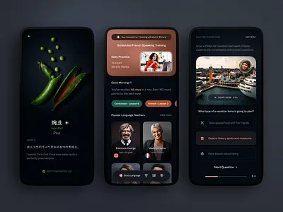 Language Learning App app app design chinese education english exam language learning mobile mobile app mobile design online course practice profile study teacher tutor tutorial ui video