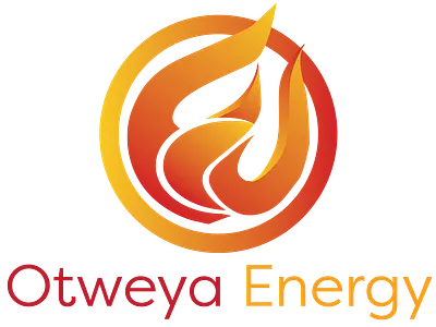 Fire Logo design fire graphic design logo