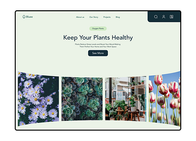 Bluee plants app design flowers hero section plants product design productdesign ui ux