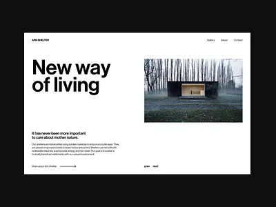 Ark-Shelter concept. branding graphic design logo ui