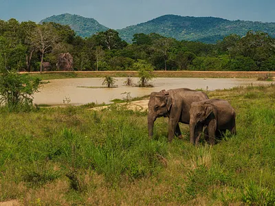 3 days Tanzania Luxury Private safari