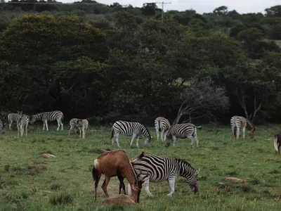 2 Days Tanzania Budget sharing Kilimanjaro Day Hike