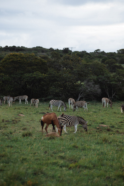 2 Days Tanzania Budget sharing Kilimanjaro Day Hike