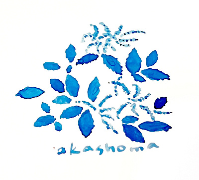 akasyoma_japanese flower design graphic design illustration textile wallpaper
