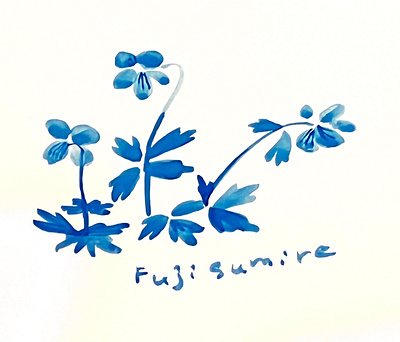 Fujisumire_japanese flower design graphic design illustration textile wallpaper