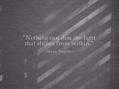 Natural Shadow Overlays & Background branding design digital graphics organic overlays shadows