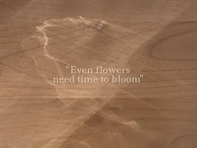 Natural Shadow Overlays & Backgrounds branding design digital graphics organic overlays shadows