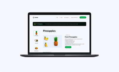 Grow It All (Groital) dried fruits farms landing page