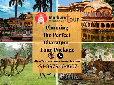Amazing Bharatpur Tour Packages bharatpur tour package
