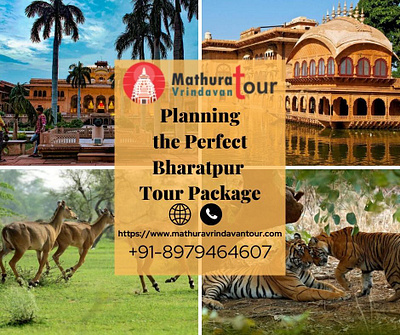 Amazing Bharatpur Tour Packages bharatpur tour package