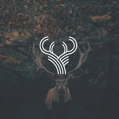 logo design app branding design graphic design illustration logo typography ui ux vector