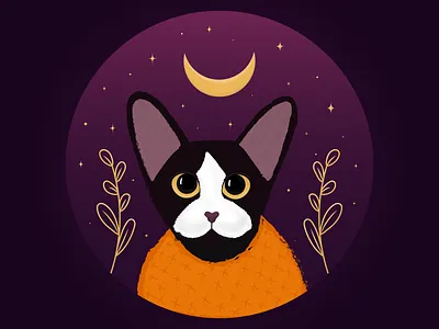 Black cat adobe illustrator art black cat cat design halloween illustration kitty moon night orange purple stars vector vector illustration
