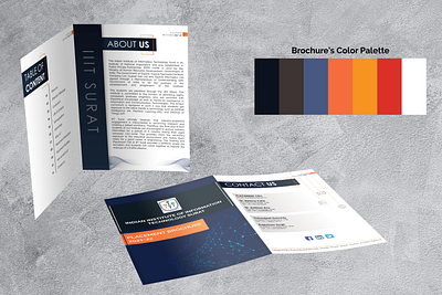 TnP Brochure branding brochure brochuredesign design graphic design illustration typography