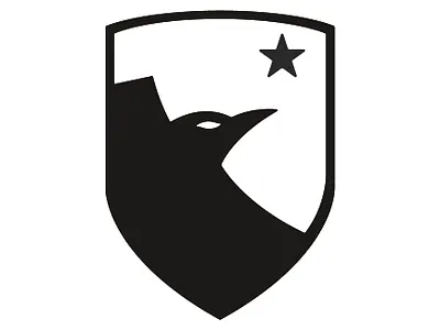 EAGLE branding design graphic design logo vector