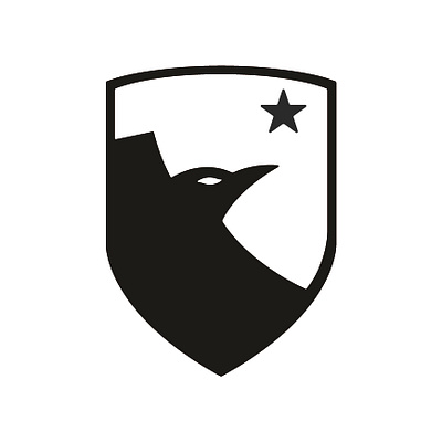 EAGLE branding design graphic design logo vector