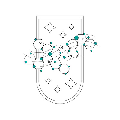 DNA & STAR LINE branding design graphic design logo vector