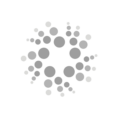 CIRCLE RADIAL branding design graphic design logo vector