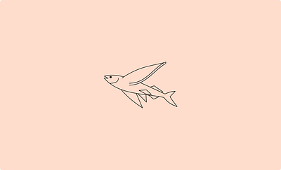 Fish, Fly app branding design graphic design illustration logo typography ui ux vector