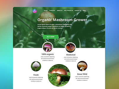 web UI design