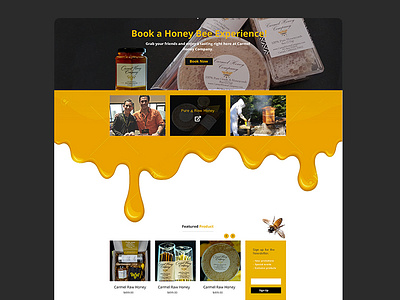 web UI design