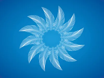 Abstract feather design graphic design illustration typography vector