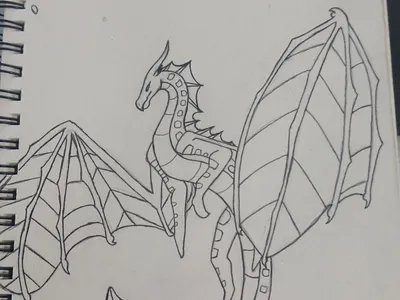 A wings of fire style dragon art artist design dragon illustration