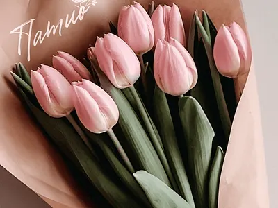 Whispering Petals design illustration logo typography