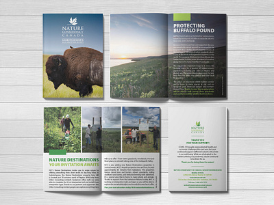 GRATITUDE REPORT (NCC) booklet canada design nature