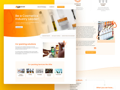 Sherbet-y orange site design site design ui web website wireframes