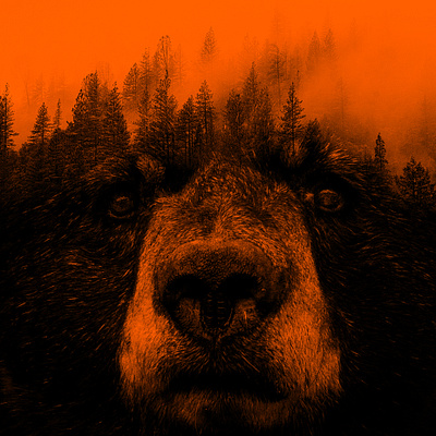 Bear in the Forest adobe photoshop art bear design digital art double exposure forest graphic design photoshop