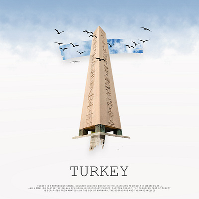 TURKEY creative design graphic design illustration letters logo manipulation post social media ui