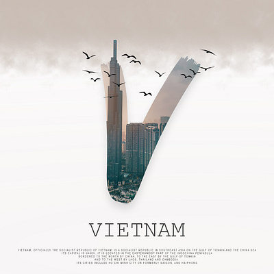 VIETNAM creative design graphic design illustration letters logo manipulation post social media ui
