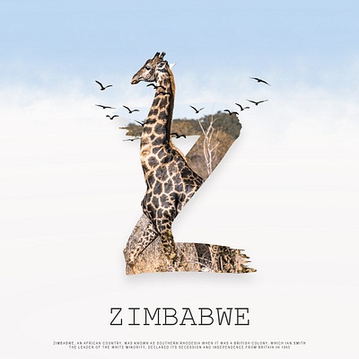ZIMBABWE creative design graphic design illustration letters logo manipulation post social media ui
