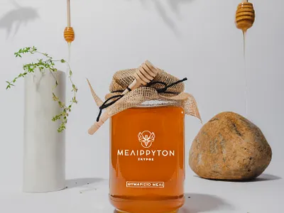 Melirriton Honey Branding design flatdesign greece illustration illustrator logo