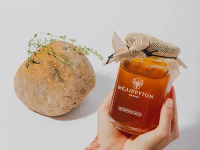 Melirriton Honey Packaging branding graphic design honey logo