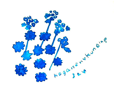 koganenekonomesou_japanese flower design graphic design illustration textile wallpaper ラッピングペーパー