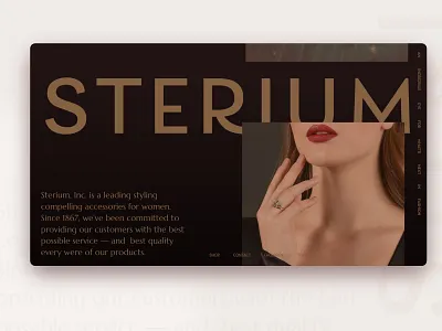 STERIUM, accessories jewerly minimal screen shop shot ui web
