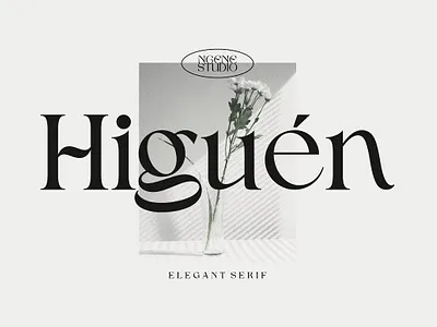 Higuen Elegant Serif Font bold book chunky classy classy font cool elegant font elegant serif font fashion header higuen elegant serif font minimal minimal font modern modern font round serif font soft stylish stylish font