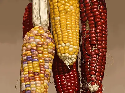 Real corn traditional art