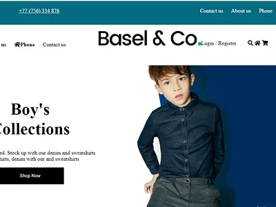 E-Commerce Website sublime ui website