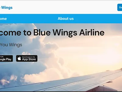 Blue Wings Airlines. branding graphic design ui