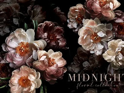 Midnight Peony Floral Clip Art Collection botanical clipart design floral flower peony
