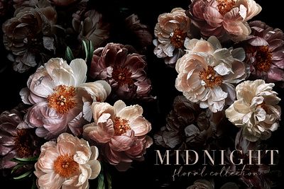 Midnight Peony Floral Clip Art Collection botanical clipart design floral flower peony