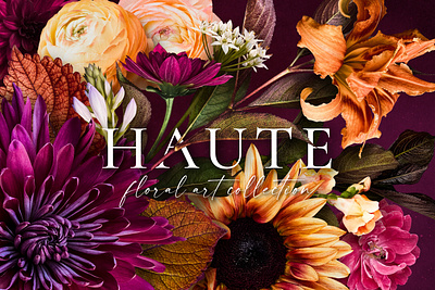 Haute Floral Clip Art Collection botanical clipart design floral flower