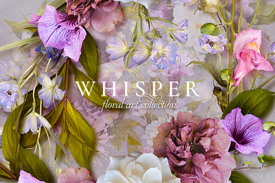 Whisper Floral Clip Art Collection botanical clipart design floral flower